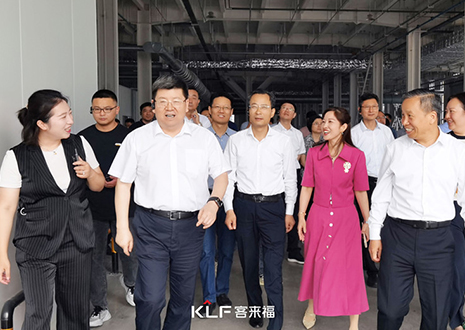 热烈欢迎安徽省淮南市委书记一行调研银河官网智能家居产业园建设项目